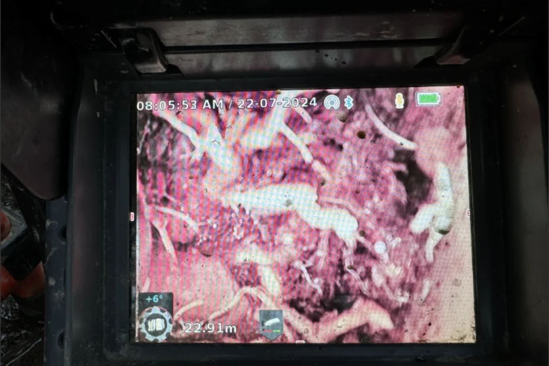 Blocked Drains Thornbury